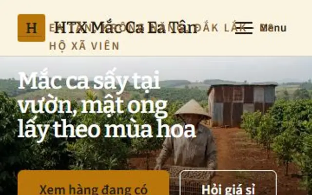 Ảnh chụp mẫu web HTX Mắc Ca Ea Tân trên điện thoại